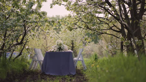 Romantische-Atmosphäre-Eines-Hochzeitsfestes-Im-Blühenden-Obstgarten-Im-Frühlingstisch-Mit-Mahlzeiten-Und-Blumen
